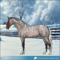 Horse Color:Powder White Liver Red Roan Mushroom 