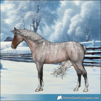 Horse Color:Powder White Liver Red Roan Mushroom 