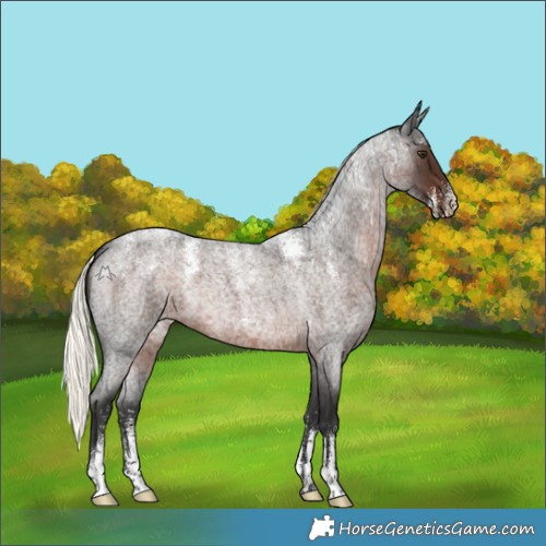 Horse Color:Powder White Liver Red Roan Mushroom 