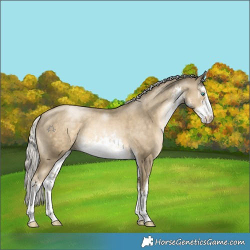 Horse Color:White Spotted Silver Smoky Black Pearl 