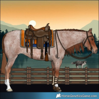 Horse Color:Red Roan 