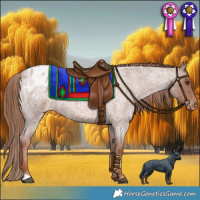 Horse Color:Red Roan Blanket