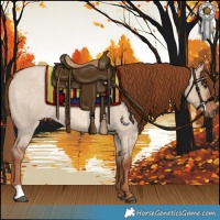 Horse Color:Red Dun Roan 