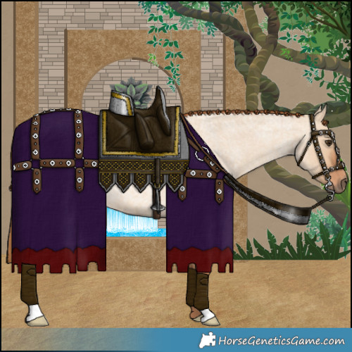 Horse Color:Red Dun Roan