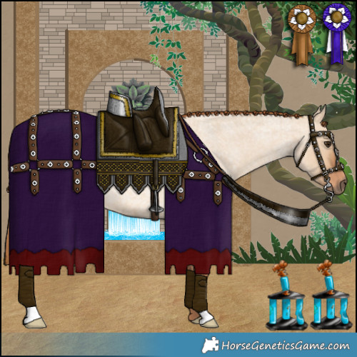Horse Color:Red Dun Roan 