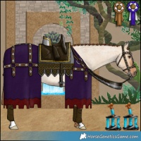 Horse Color:Red Dun Roan 