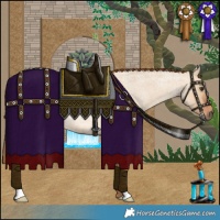 Horse Color:Red Dun Roan