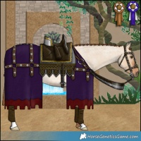 Horse Color:Red Dun Roan