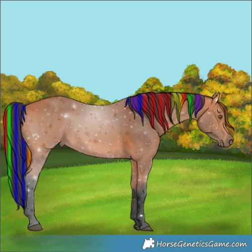 Horse Color:Painted Bay 