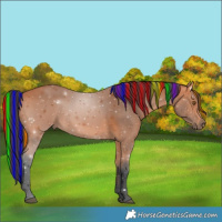 Horse Color:Painted Bay 