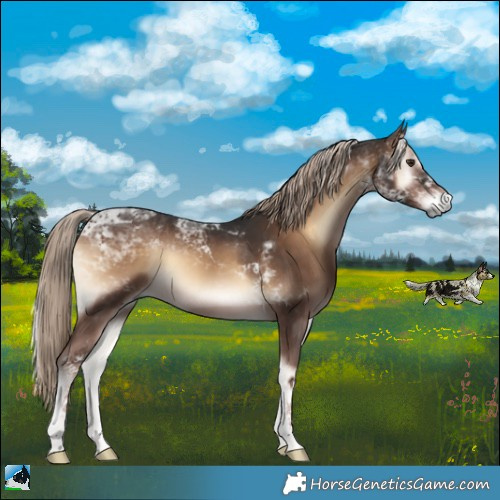 Horse Color:Liver Red Onyx Tobiano Rabicano 