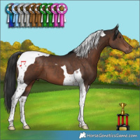 Horse Color:Liver Chestnut Tobiano 