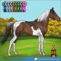 Horse Color:Liver Chestnut Tobiano 