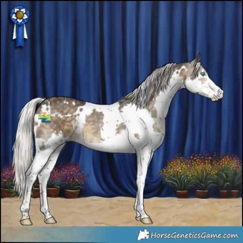 Horse Color:White Spotted Silver Smoky Black Splash Rabicano 