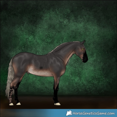 Horse Color:Void White Spotted Liver Chestnut Mushroom 