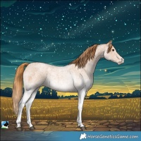 Horse Color:White Spotted Red Roan 