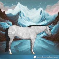Horse Color:Gray Blue Ice Roan 