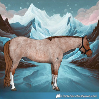 Horse Color:Red Roan Tobiano Rabicano