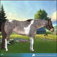 Horse Color:Liver Red Roan Tobiano 
