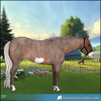 Horse Color:Silver Brown Roan Frame 