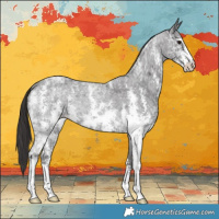 Horse Color:Smoky Blue Ice Roan Sabino Rabicano 