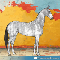 Horse Color:Smoky Blue Ice Roan Sabino Rabicano