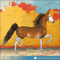 Horse Color:Gray Buckskin Splash 