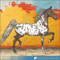 Horse Color:Silver Black Near Leopard Rabicano 
