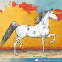 Horse Color:Black Splash Tobiano Blanket Rabicano 