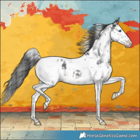 Horse Color:Black Splash Tobiano Blanket Rabicano 