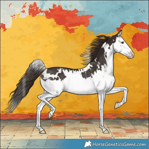 Horse Color:White Spotted Liver Chestnut Splash Rabicano 