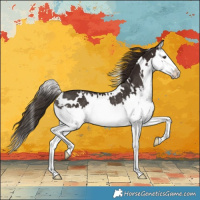 Horse Color:White Spotted Liver Chestnut Splash Rabicano 