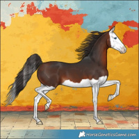 Horse Color:Bay Splash 