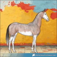 Horse Color:Bay Roan Splash 