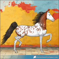 Horse Color:Bay Splash Blanket 