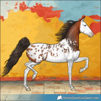 Horse Color:Bay Splash Blanket 