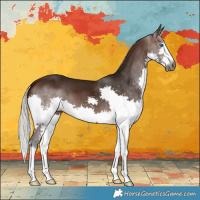 Horse Color:Gray Silver Brown Splash 