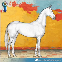 Horse Color:Gray Silver Brown Splash