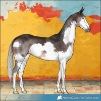 Horse Color:Gray Silver Brown Splash 