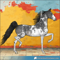 Horse Color:Gray Black Sabino Tobiano Varnish 