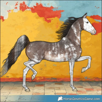 Horse Color:Liver Chestnut Sabino Splash