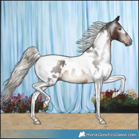 Horse Color:Gray White Spotted Silver Brown Tobiano Varnish Rabicano 