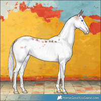 Horse Color:Silver Brown Splash Tobiano Varnish Rabicano 