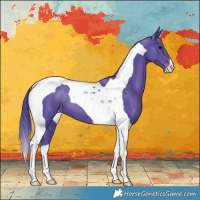 Horse Color:Watercolor Black Tobiano Appaloosa 
