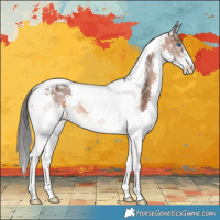 Horse Color:Brown Splash Tobiano 