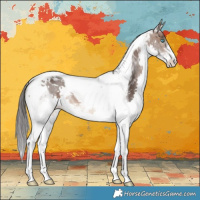 Horse Color:Brown Splash Tobiano 