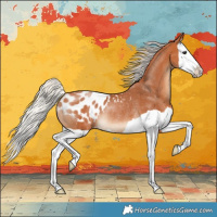 Horse Color:Silver Bay Splash Appaloosa Rabicano 