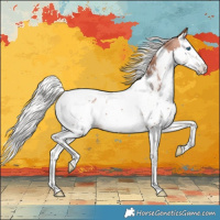 Horse Color:Silver Bay Splash Tobiano Appaloosa 