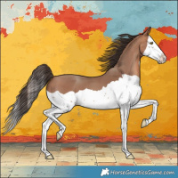 Horse Color:Sable Champagne Splash 