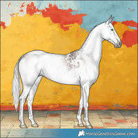 Horse Color:Gray White Spotted Silver Bay Splash Rabicano 